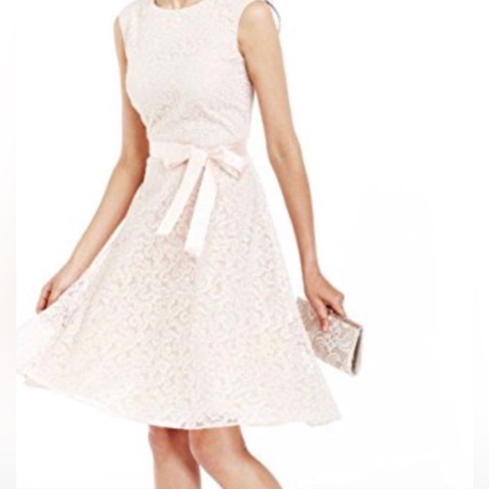 Tahari ASL Blush Pink Sleeveless Embroidered Lace A Line Dress